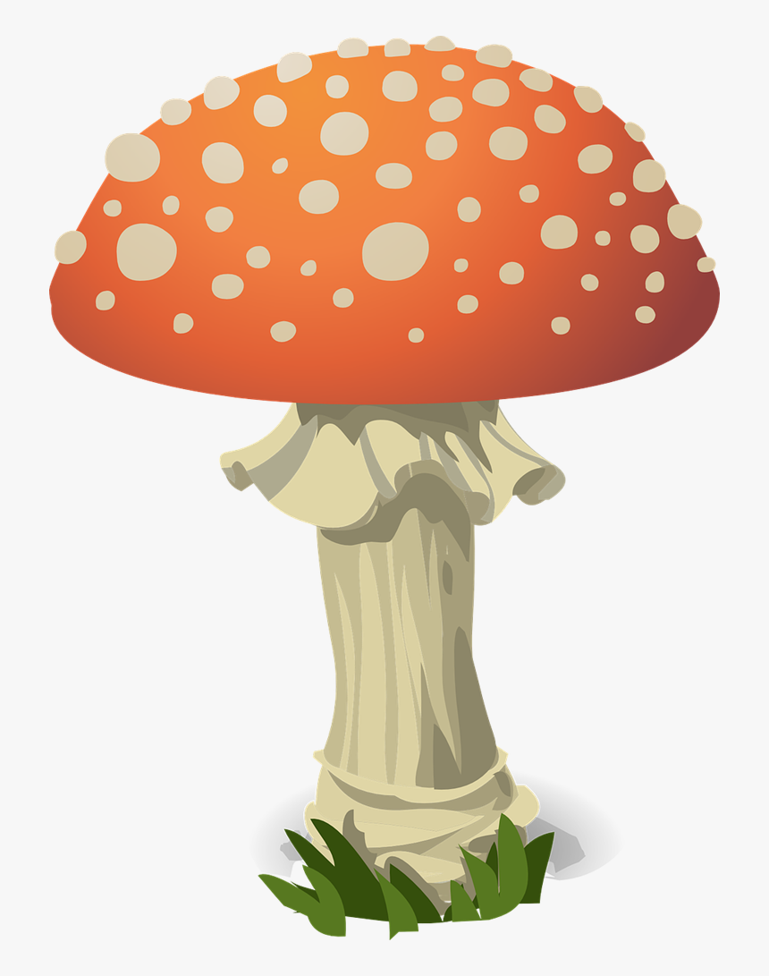 Mushroom, Fly Agaric, Red, Toxic, Nature, Fungus - Mushroom Pun, HD Png Download