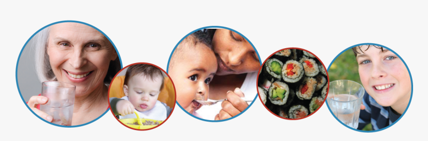 Gimbap, HD Png Download