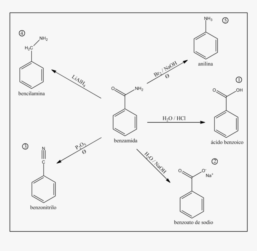 Diagram, HD Png Download