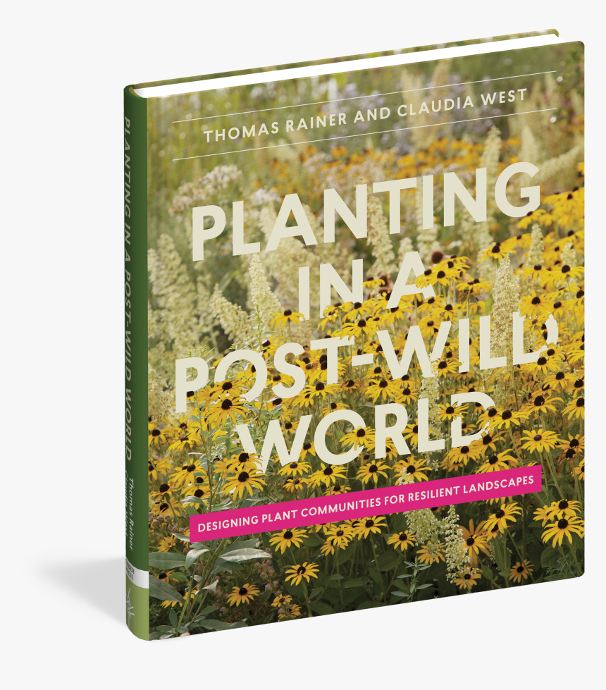 Cover - Flyer, HD Png Download