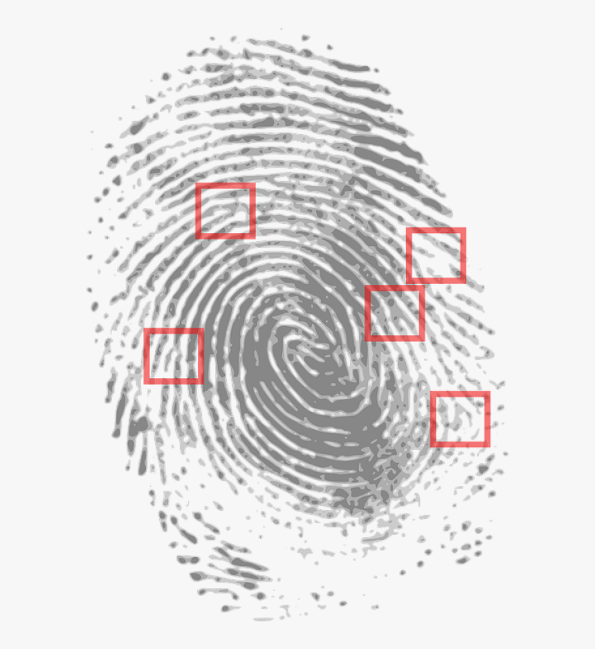 Finger Print Analysis, HD Png Download