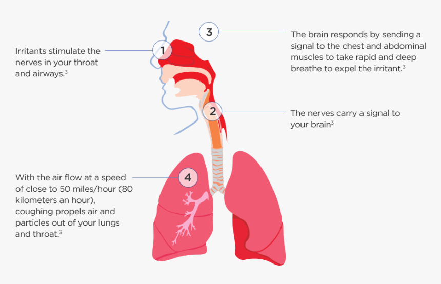 How Do We Cough - Legionella Transmission, HD Png Download