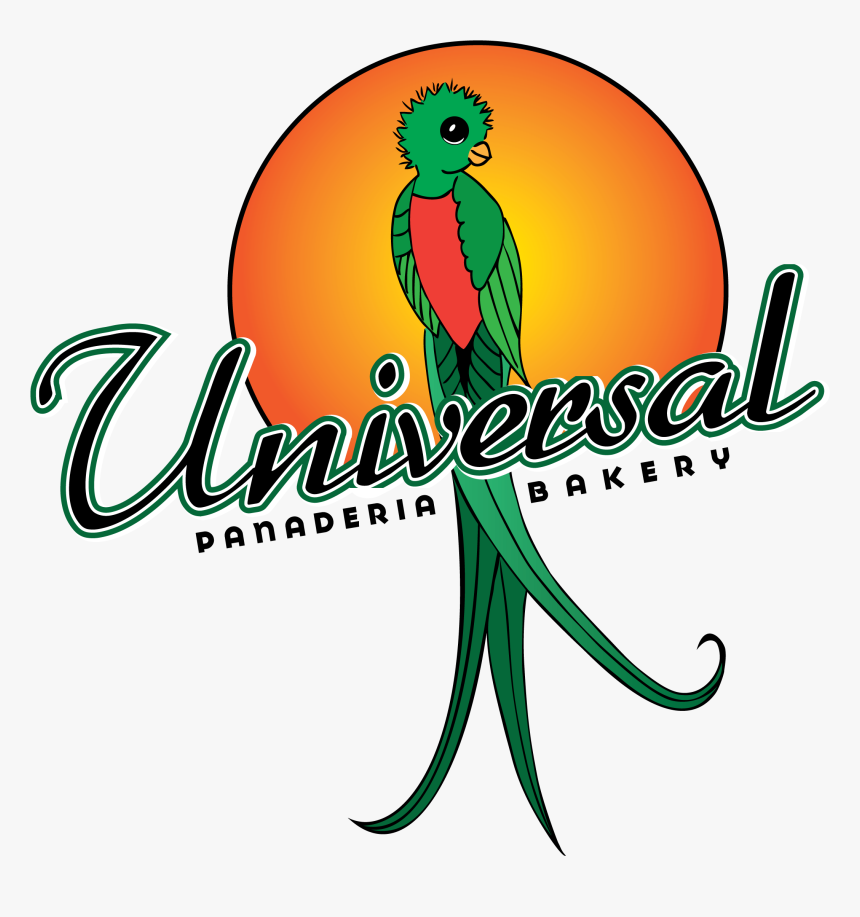 Latin American Food Delivery - 1982 Fifa World Cup, HD Png Download