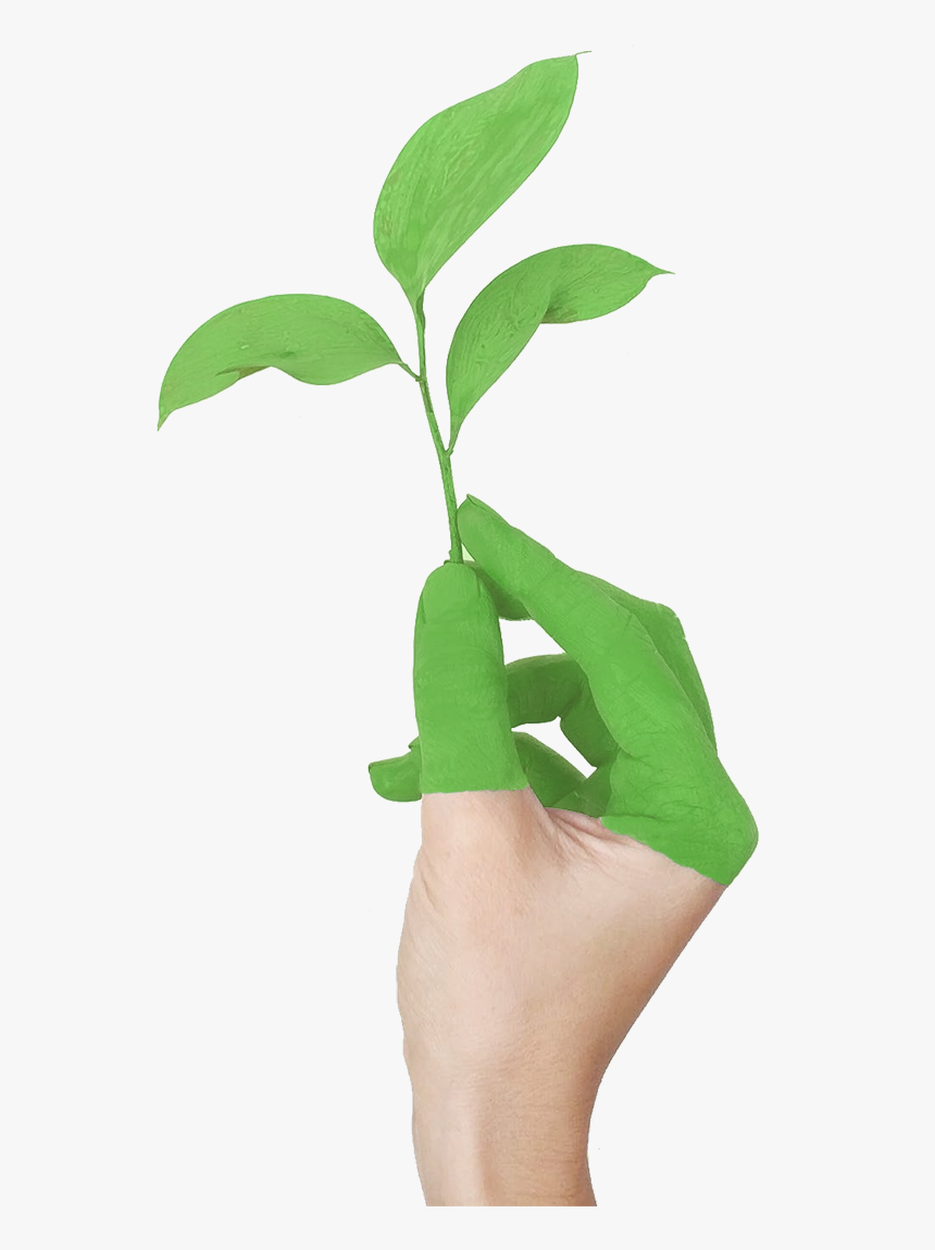 Hand With Leaf Growing From Clean Air Due To Green - Politica Ambiental, HD Png Download