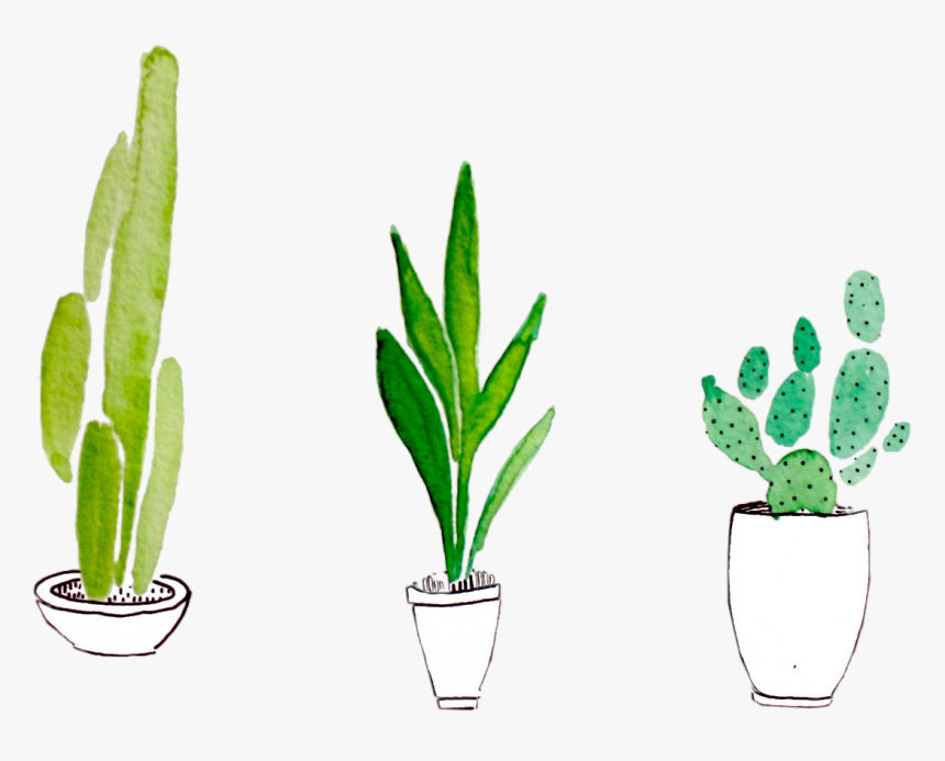 Plant Watercolor, HD Png Download