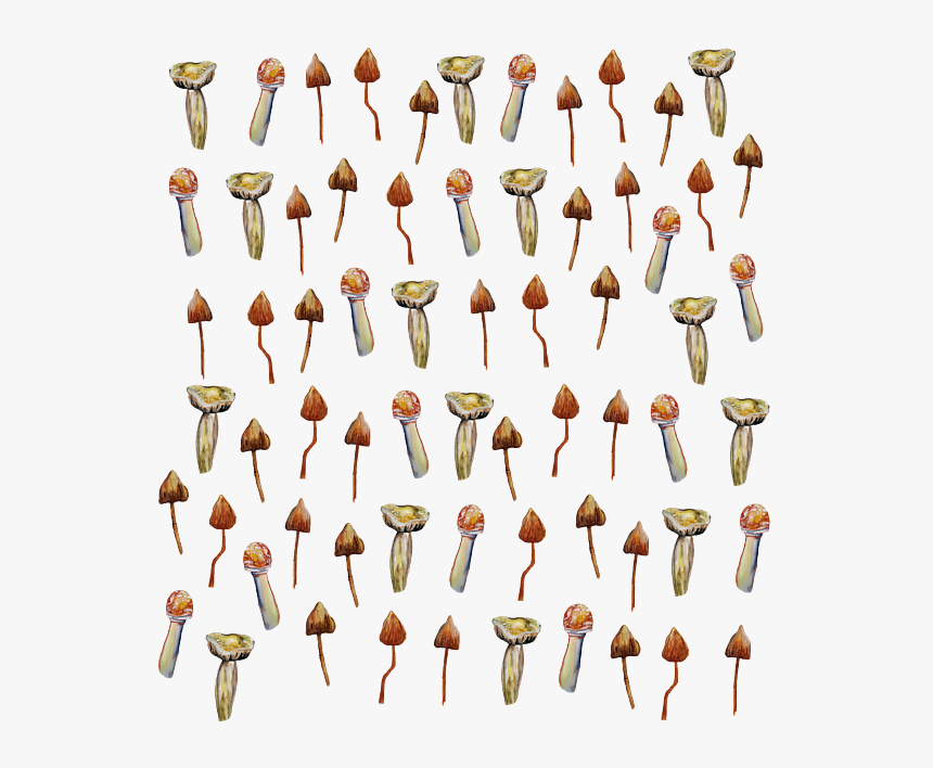 Collection, HD Png Download