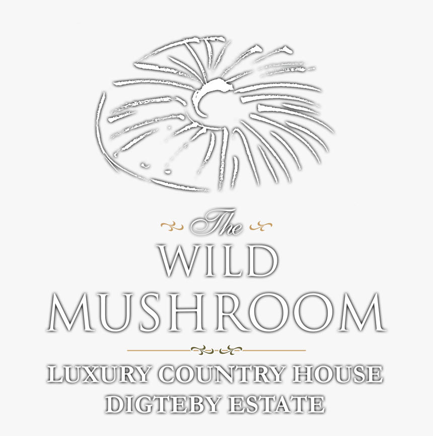 The Wild Mushroom Country House Accommodation Stellenbosch - Abbas, HD Png Download