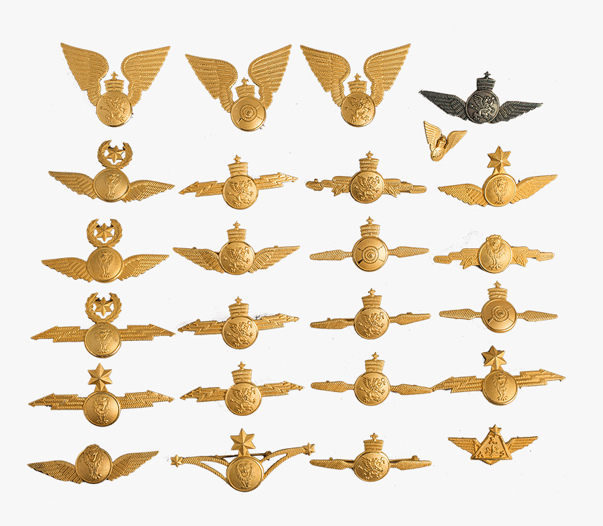 The Lion Of Judah - Military Badge Wings With Lightning Bolt, HD Png Download