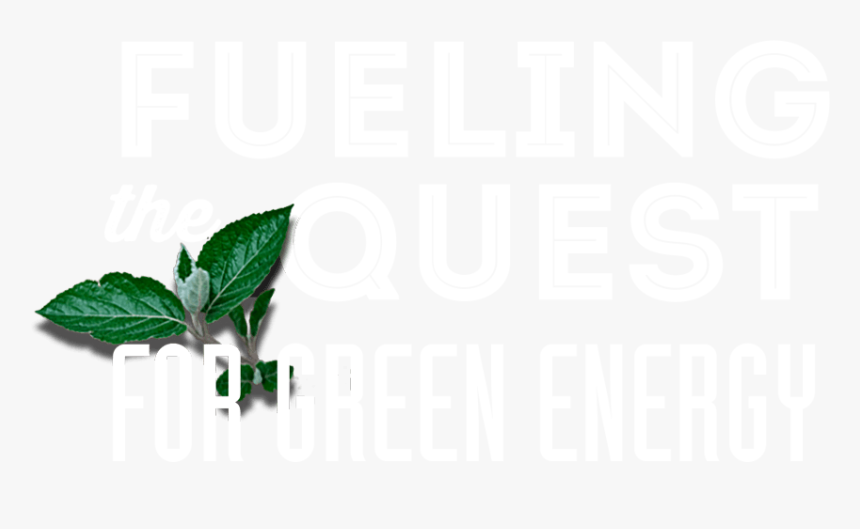 Fueling The Quest For Green Energy - Montgomery Inn, HD Png Download
