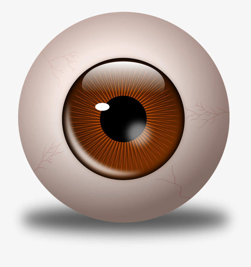 Drawing Eyeballs Ball - Olho Castanho Png, Transparent Png