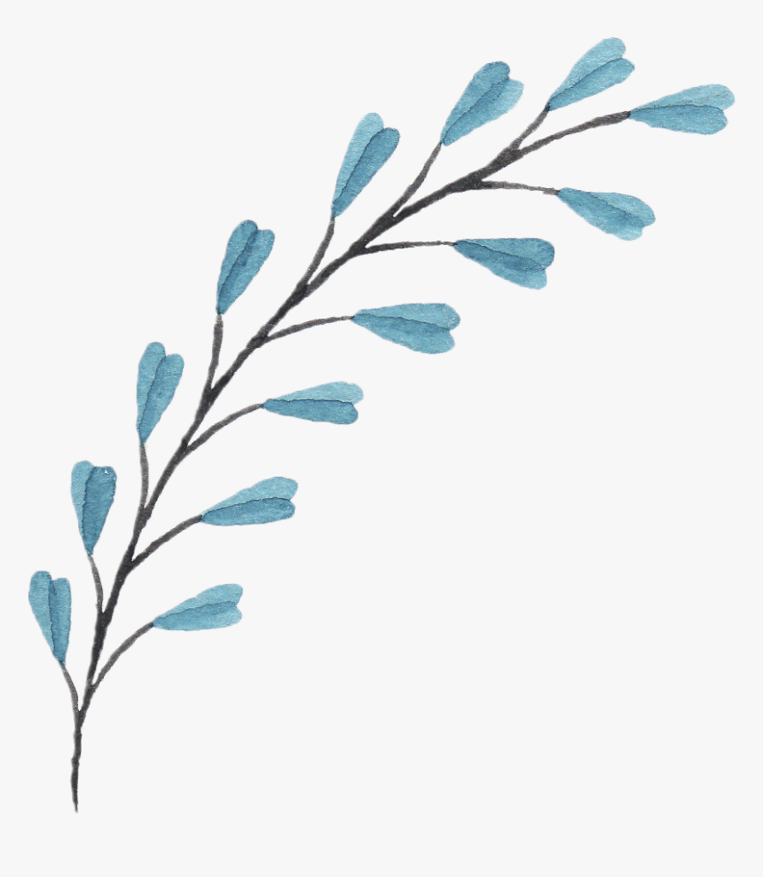 Bouquet Of Flowers Png - Branches With Flowers Drawing, Transparent Png