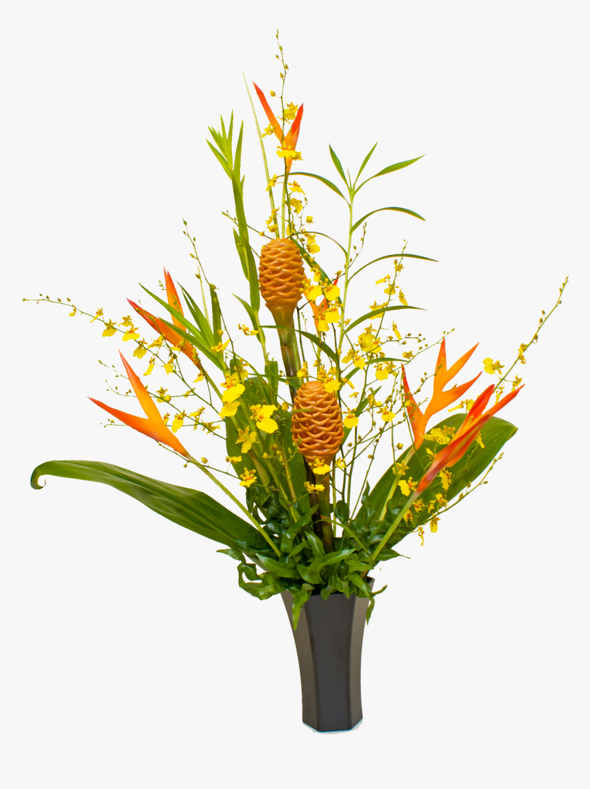 95 Previous Next - Tropical Flowers Plants Png, Transparent Png