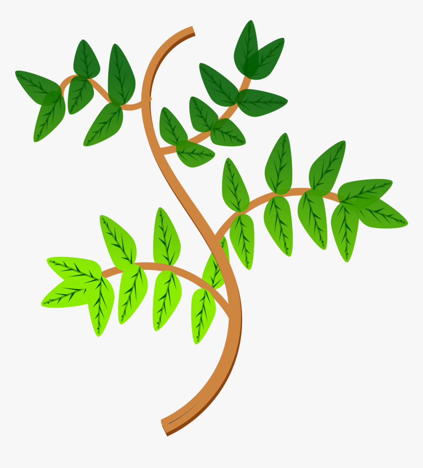 Leaves And Branches 2 Clip Arts - Clipart Branches, HD Png Download