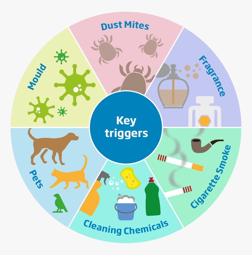 Transparent Coughing Png - Key Triggers Of Asthma, Png Download