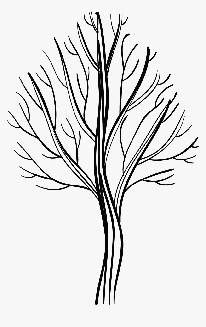 Line Art, HD Png Download