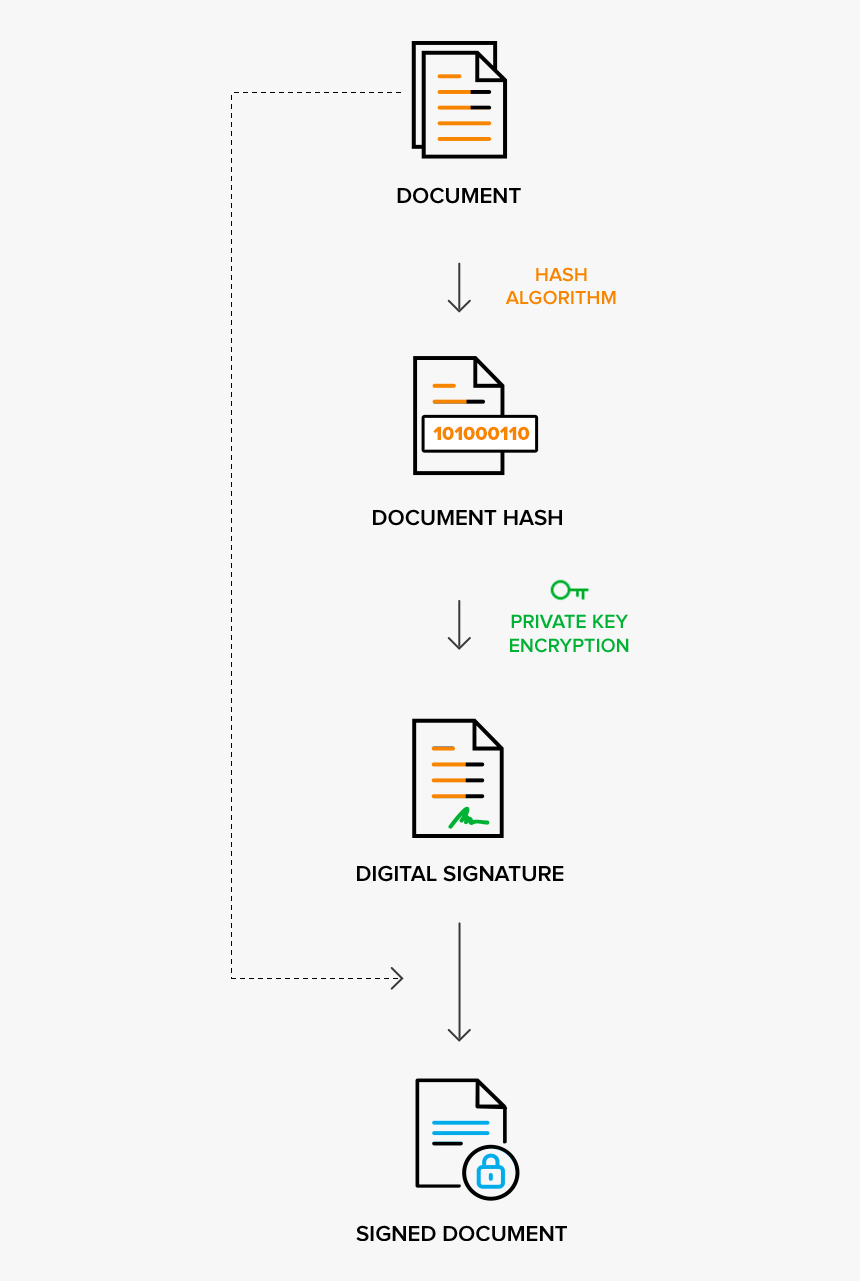 Colorfulness, HD Png Download