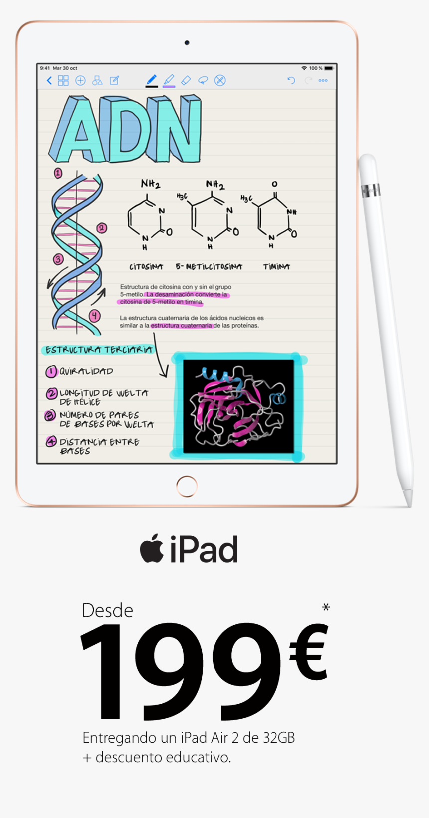 Apple Ipad, HD Png Download
