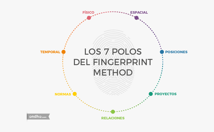 Los Siete Polos Del Fingerprint Method - Cox Enterprises, HD Png Download