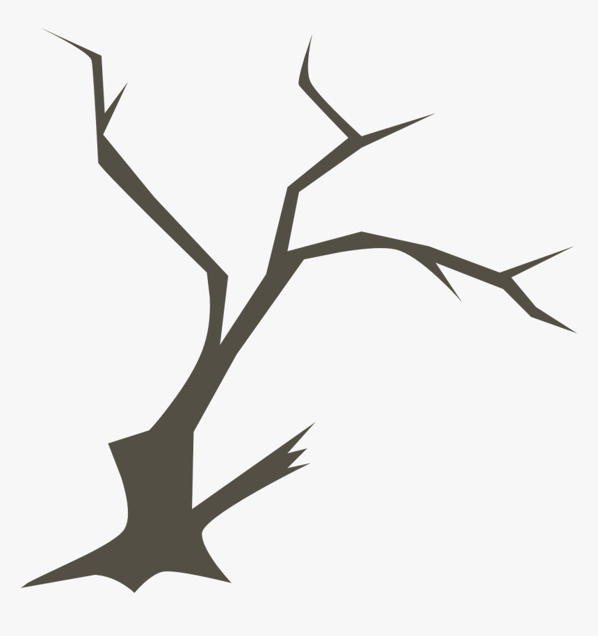 Ramas De Arbol Png, Transparent Png