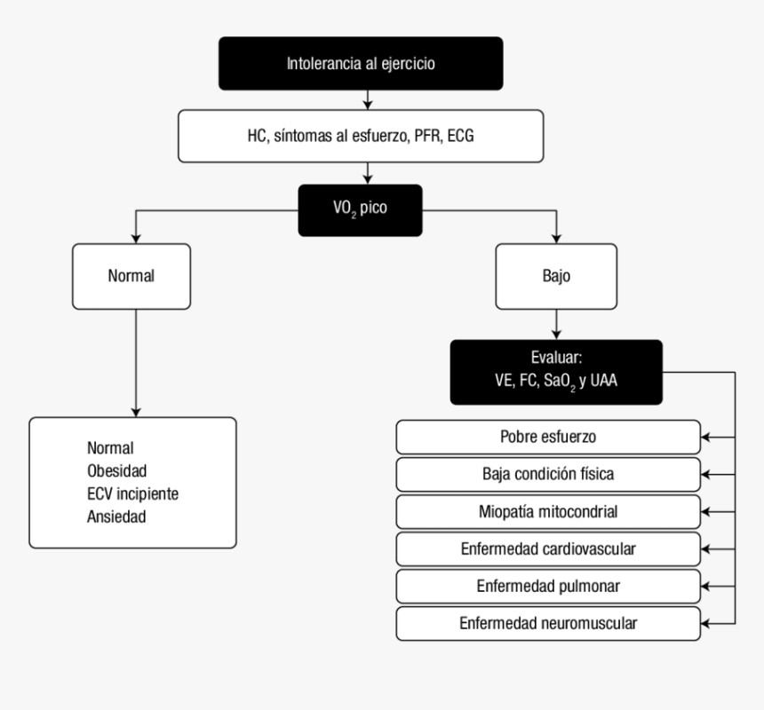 Para Hacer Una Historia Se Necesita, HD Png Download