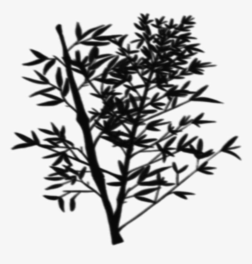 Transparent Bush Silhouette Png - Twig, Png Download
