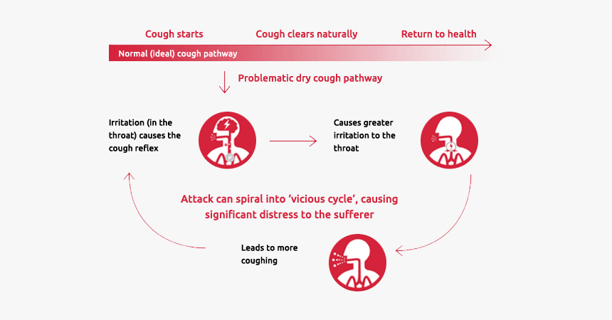 Illustration Of The The Vicious Cycle Of Dry Cough - Vicious Cycle Of Cough, HD Png Download