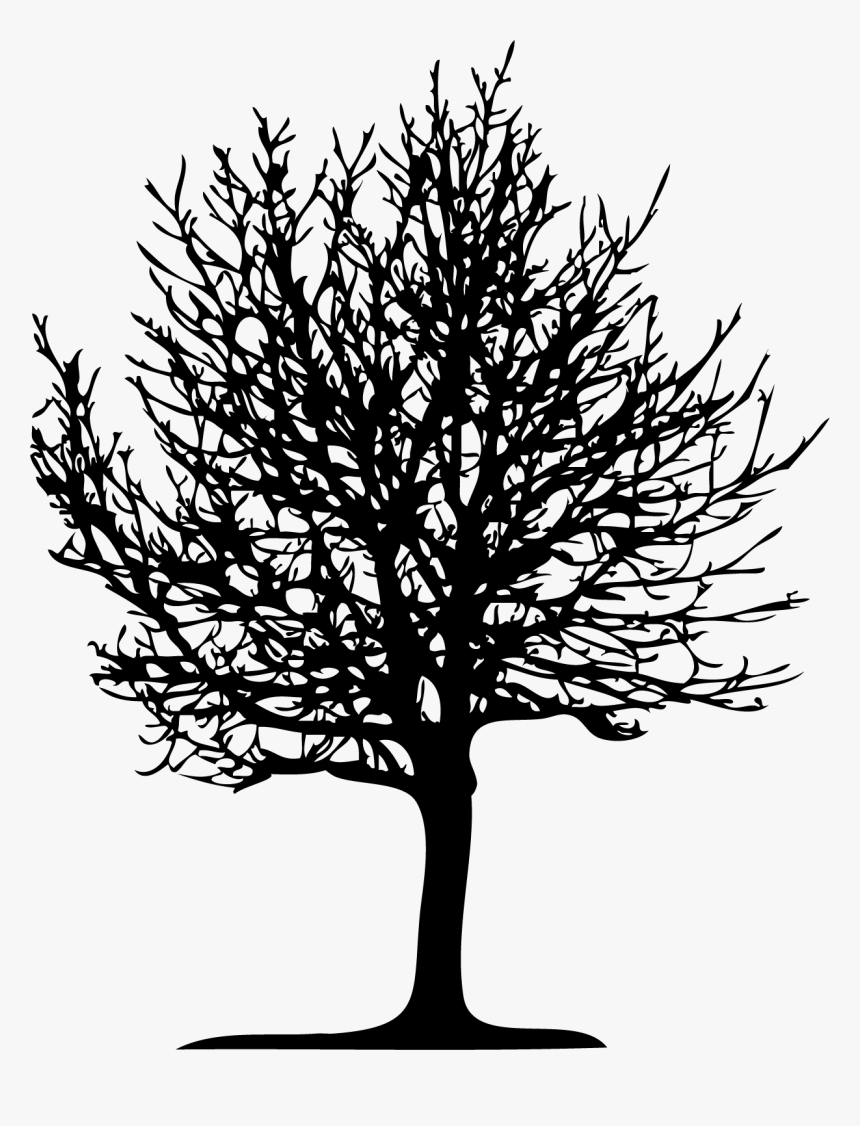 Silhouette, HD Png Download