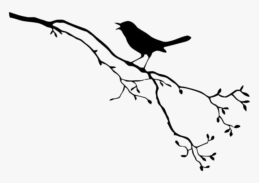 Bird Royalty-free Drawing - Bird Branch Silhouette Png, Transparent Png