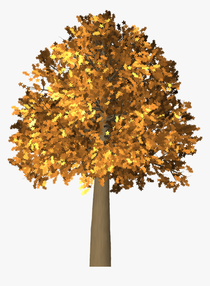 7 Png, Branches Of Trees, Forest - Arboles En Otoño En Png, Transparent Png