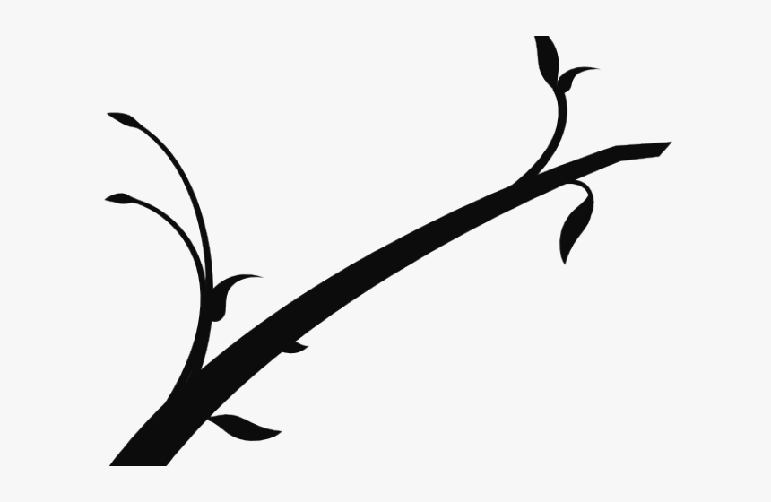 Pine Clipart Bare - Branch Black And White Clipart, HD Png Download