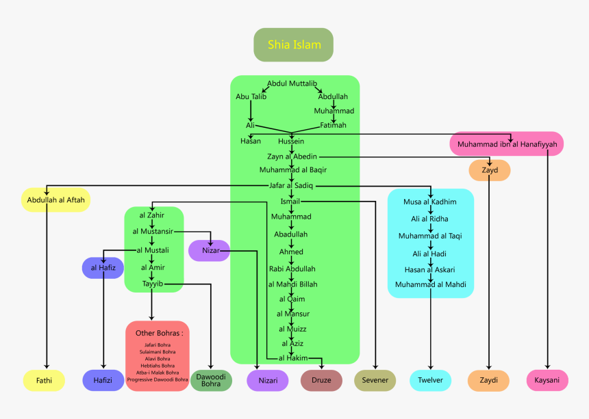 Branch Of Shi A Islam - Shia Islam Branches, HD Png Download