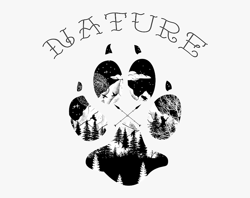 Symmetry In Nature Drawing, HD Png Download