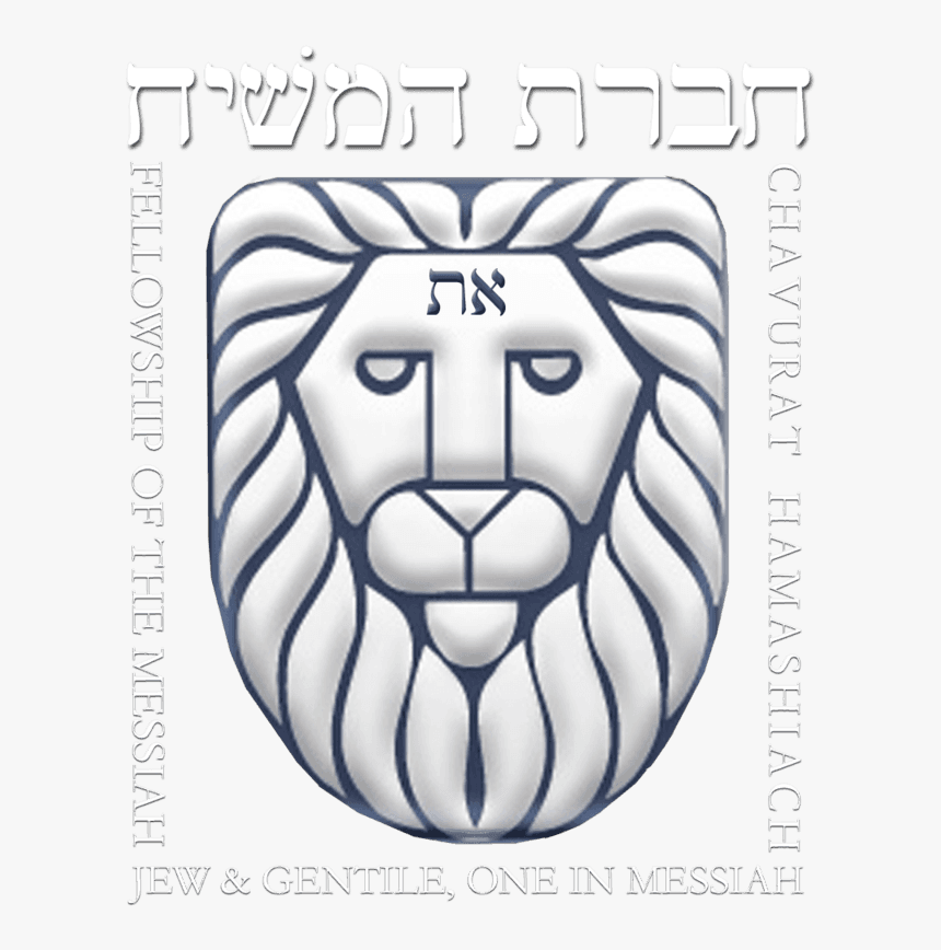 Lion, HD Png Download