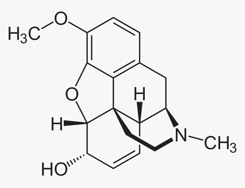 Fda Adds New Warnings About The Use Of Cough And Cold - Structure Of Codeine, HD Png Download