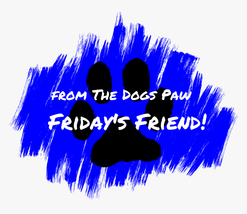 Cat Adoption - Dog Blue Paws, HD Png Download