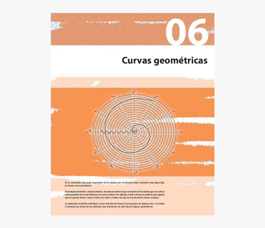 Circle, HD Png Download