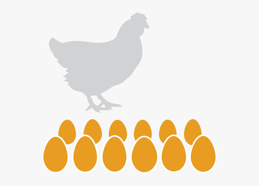 Transparent Chicken Wing Clipart - Hen Silhouette, HD Png Download