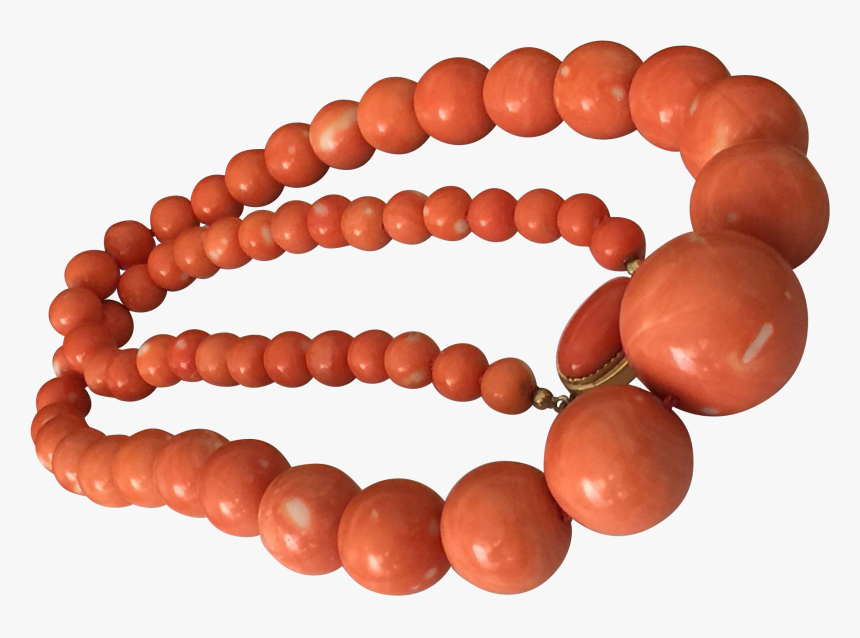 Coral Momo, HD Png Download