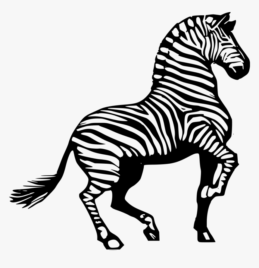 Black And White Download Zebra Clip Art - Clipart Of Zebra, HD Png Download