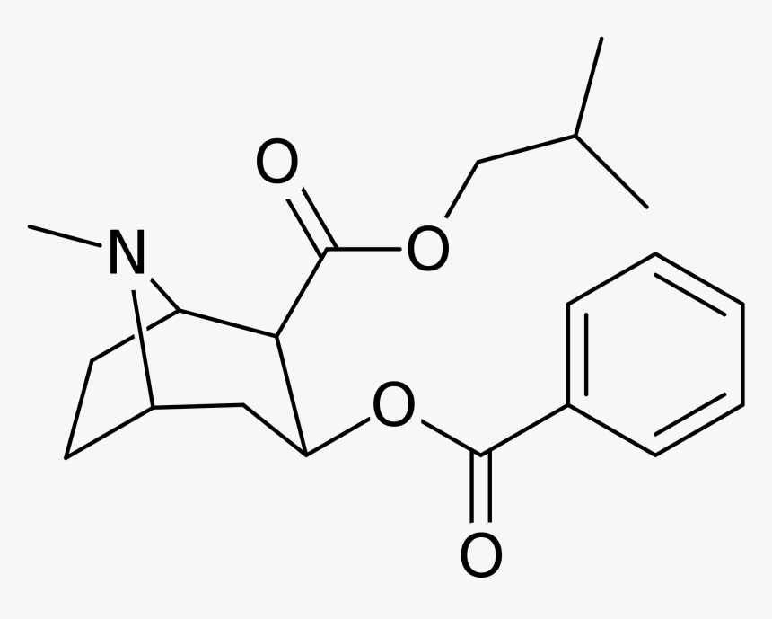 Transparent Line Of Cocaine , Png Download, Png Download