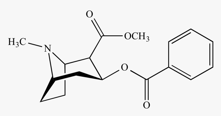 Cocaine Png, Transparent Png