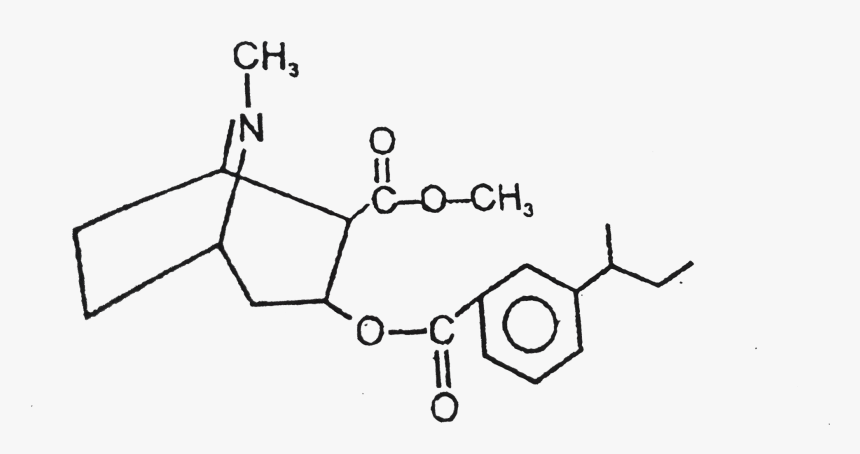 Cocaine Png, Transparent Png