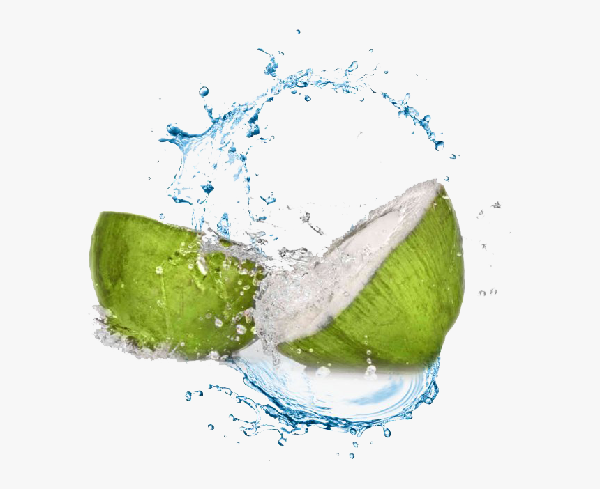 Coconut Water Splash Png Transparent Image, Png Download