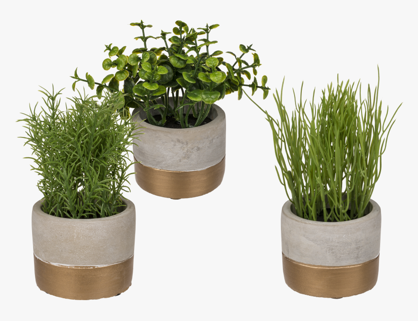 Pot Of Gold Png, Transparent Png