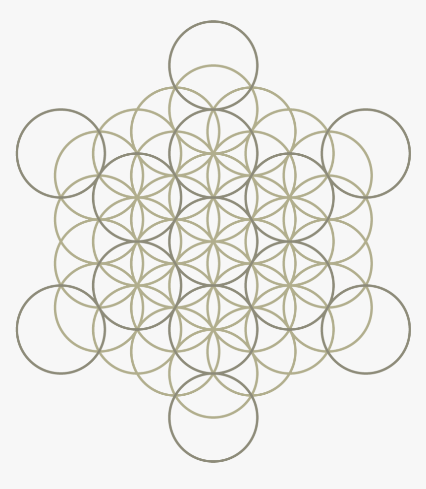 Flower Of Life L, HD Png Download
