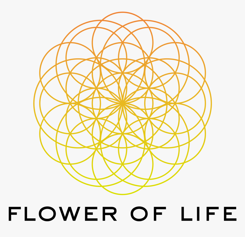 Flower Of Life Png, Transparent Png