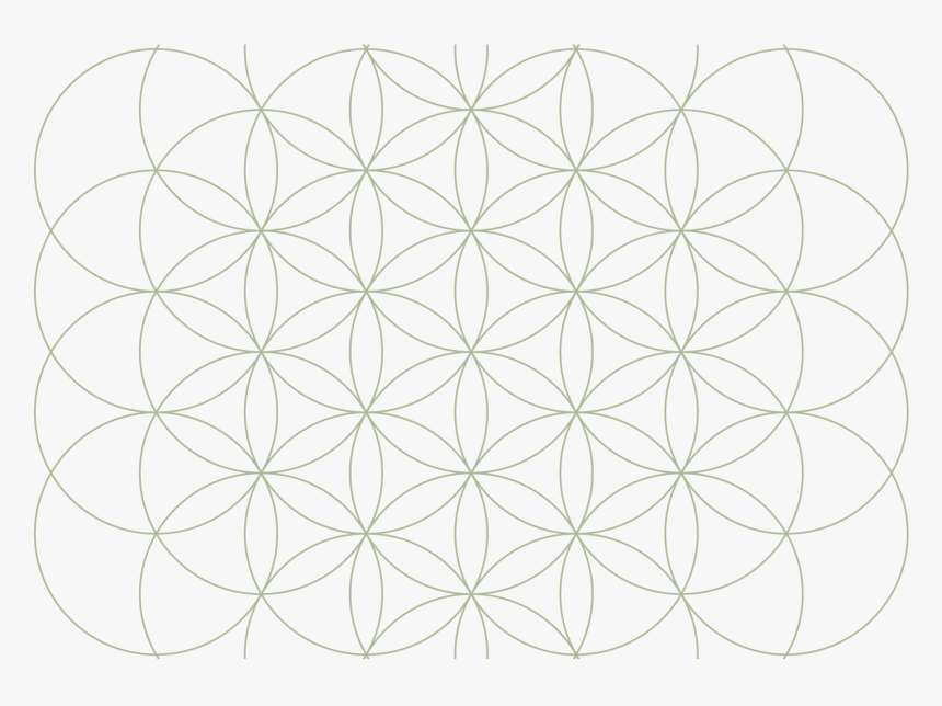 Bg Flower Of Life, HD Png Download