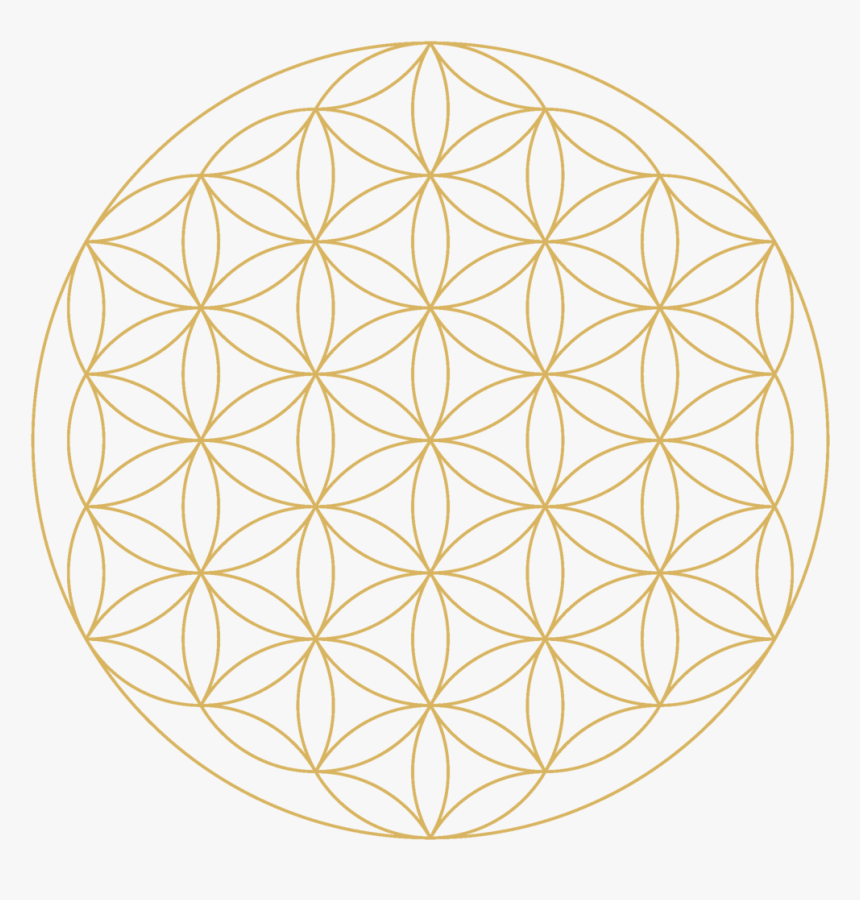 Flower Of Life Png, Transparent Png