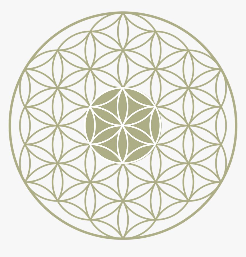 Flower Of Life Png, Transparent Png