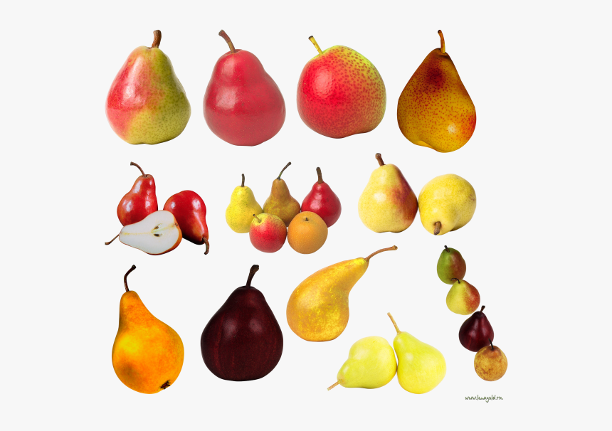 Pear Png Free Download, Transparent Png